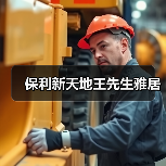 保利新天地王先生雅居（图4）