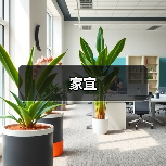 家宜（图4）
