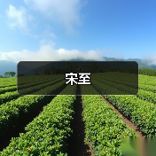 宋至
