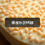雅居乐剑桥郡（图3）