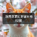 越秀区君汇世家B 栋 1602房（图2）