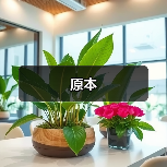 原本